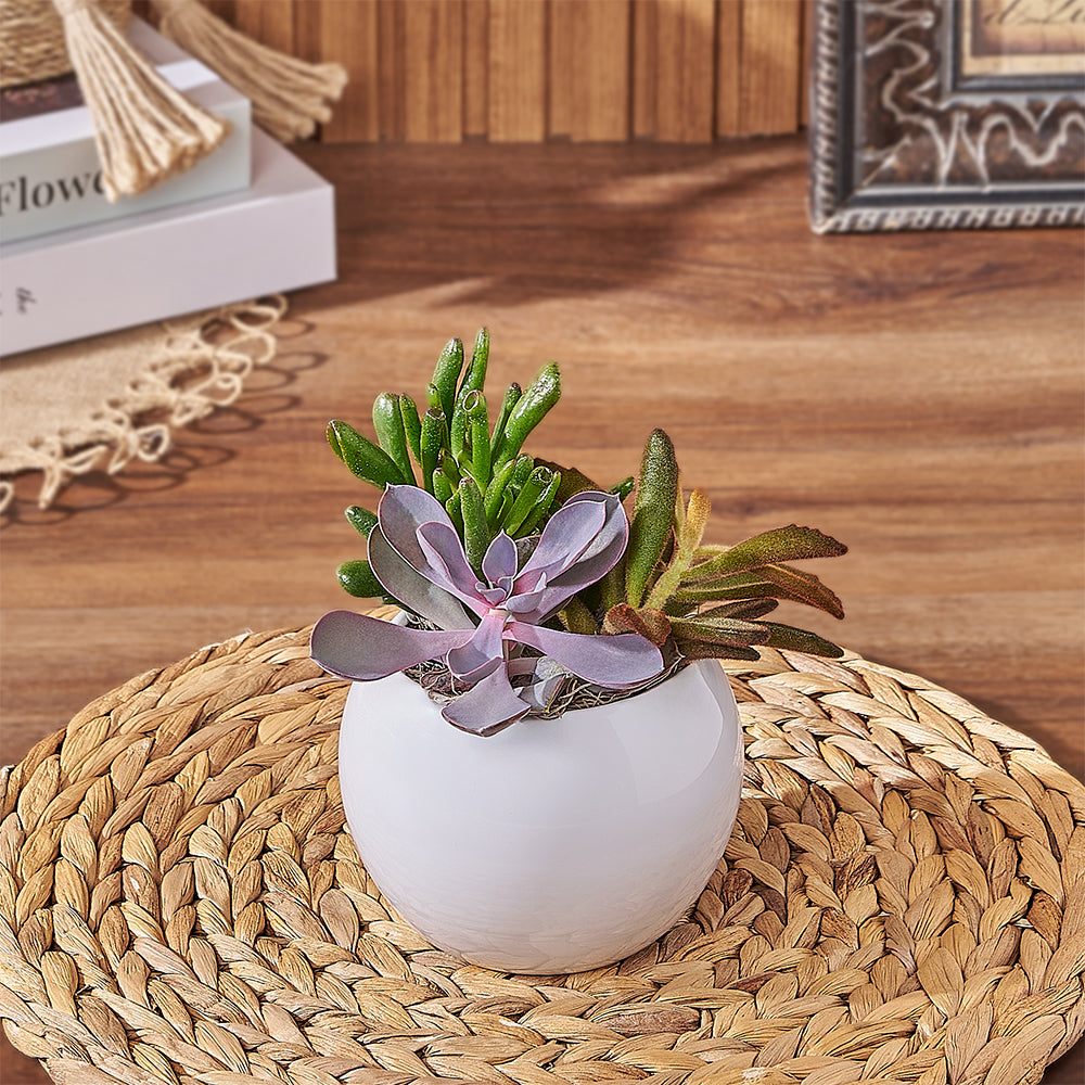 Small Round Planter with Succulent Plants – how the gift is presented