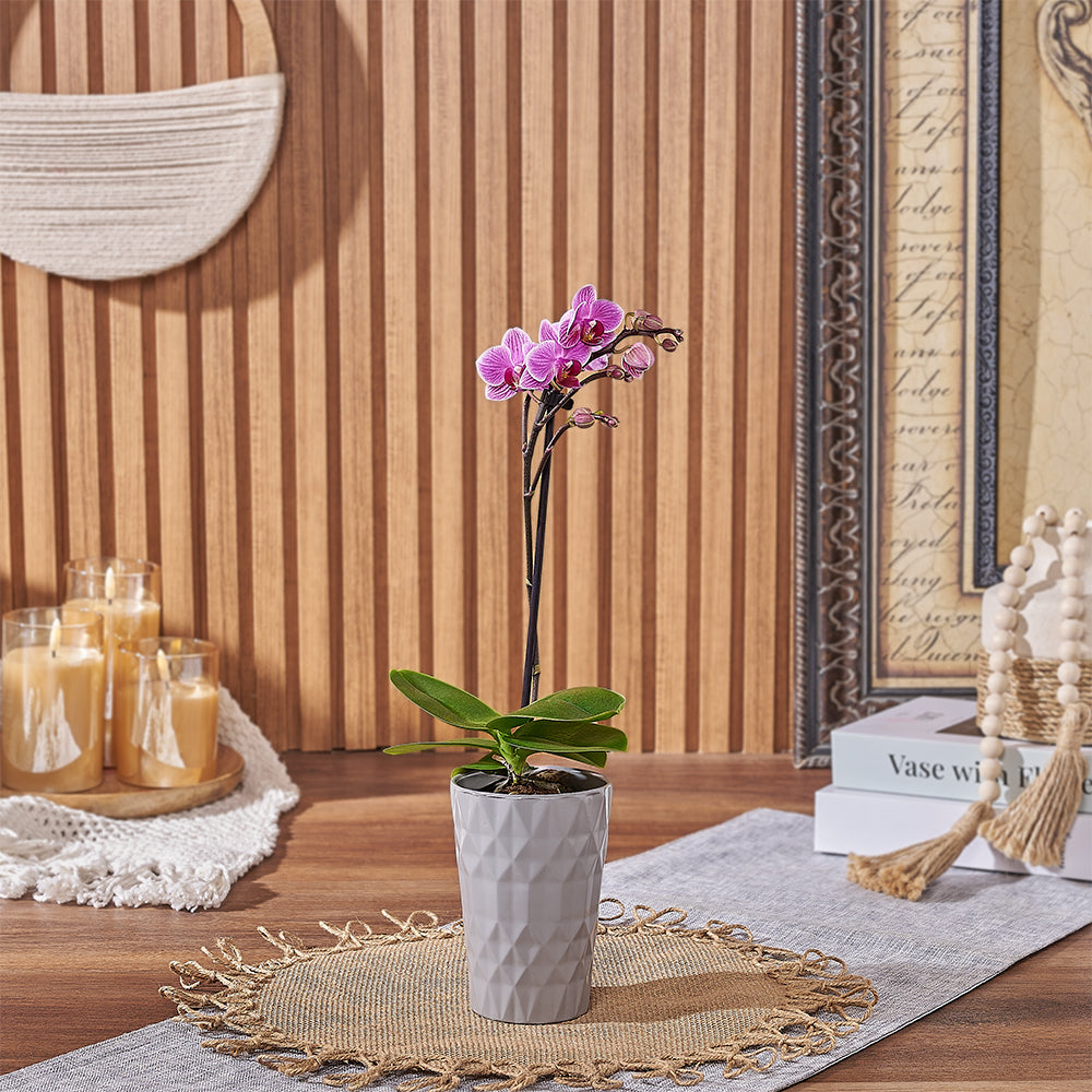 Delicate Pink Orchid – how the gift is presented