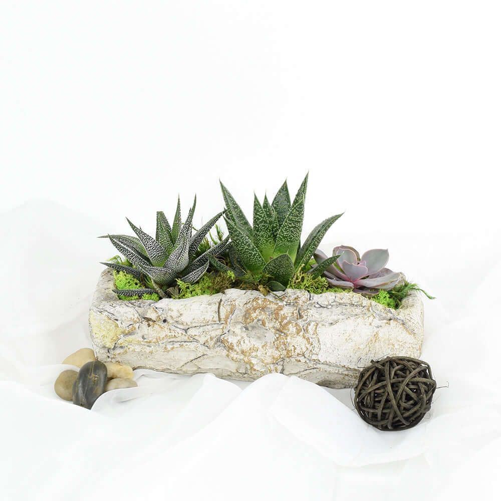 Handcrafted Succulent Rock Garden Planter – how the gift is presented