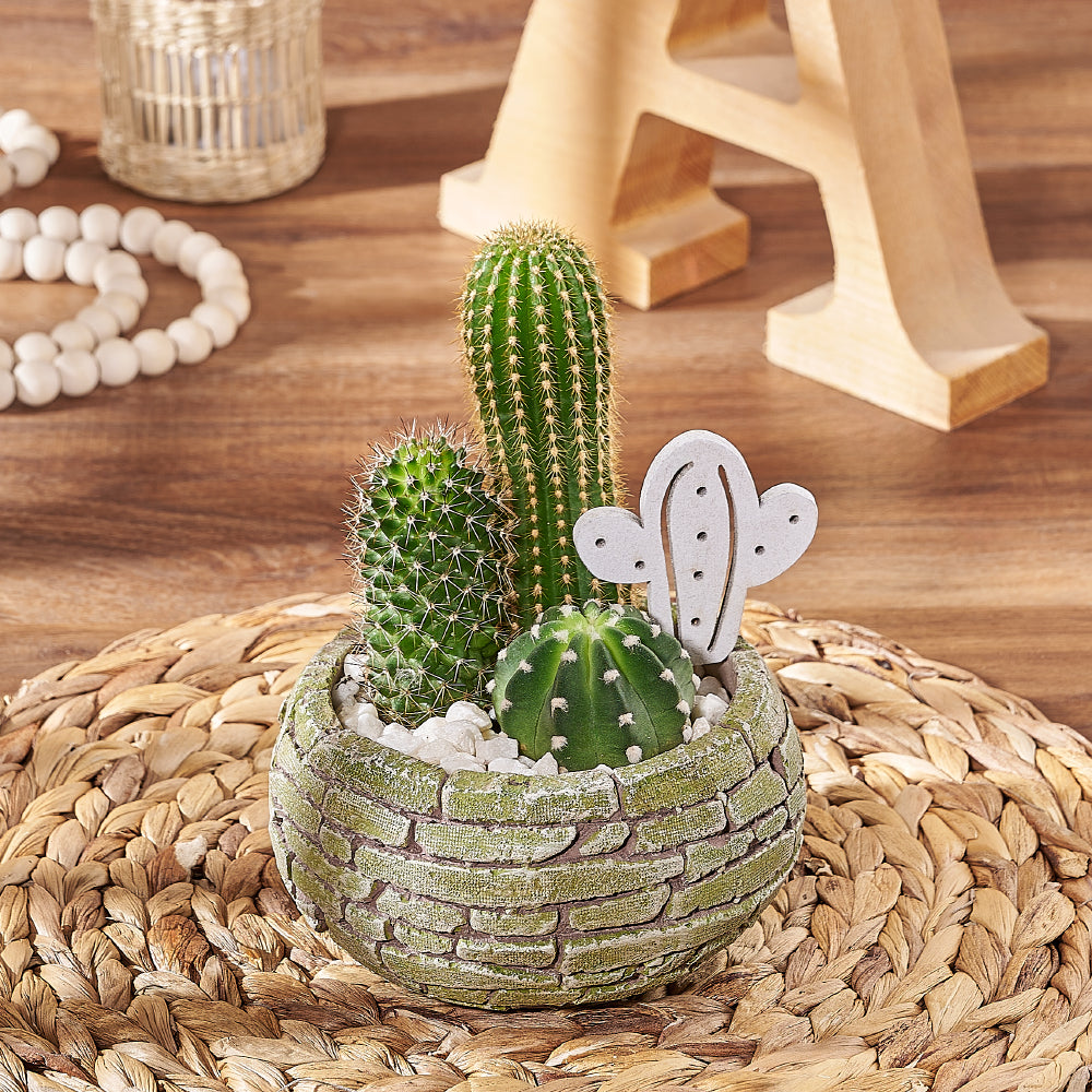 Assorted Three Cactus Brick Planter Plant – how the gift is presented