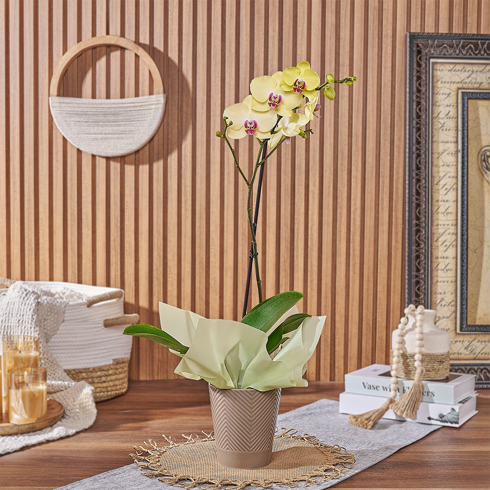 Yellow Orchid Ceramic Planter – how the gift is presented