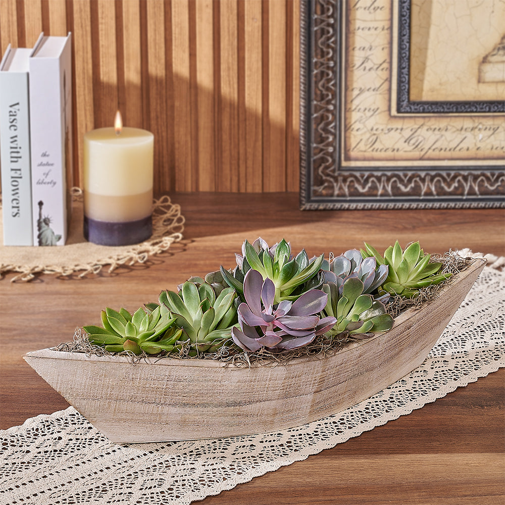 Boat Garden Succulent Arrangement – how the gift is presented