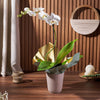 Pearl Essence Exotic Orchid Plant, plant gift, plant, flower gift, flower, orchid gift, orchid, Hamilton delivery