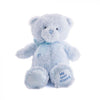 Blue Best Friend Baby Plush Bear from Hamilton Baskets - Hamilton Delivery