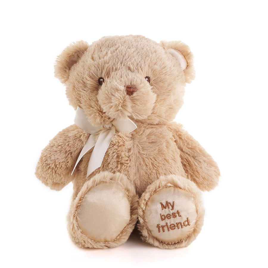 Brown Best Friend Baby Plush Bear from Hamilton Baskets - Hamilton Delivery