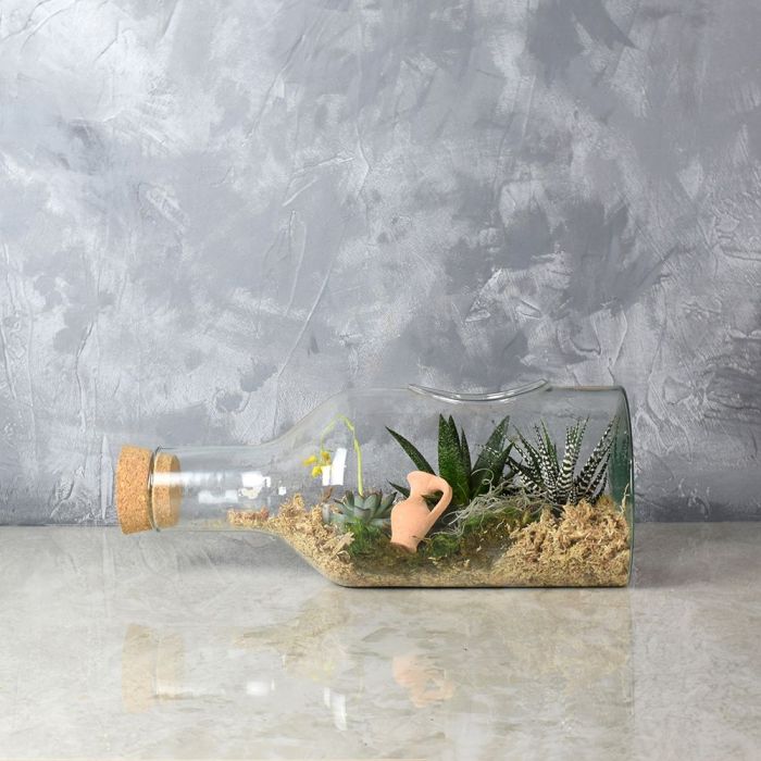 Cliffcrest Succulent Garden in a Bottle from Hamilton Baskets - Hamilton Delivery