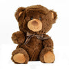 Jeremy Brown Bear from Hamilton Baskets - Plush Gift - Hamilton Delivery.