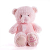 Pink Best Friend Baby Plush Bear from Hamilton Baskets - Hamilton Delivery