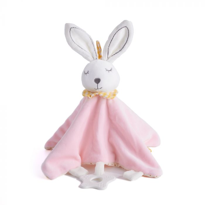 Pink Plush Bunny Blanket from Hamilton Baskets - Hamilton Delivery