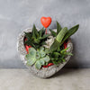 Rock Garden Succulents of Love from Hamilton Baskets - Hamilton Delivery